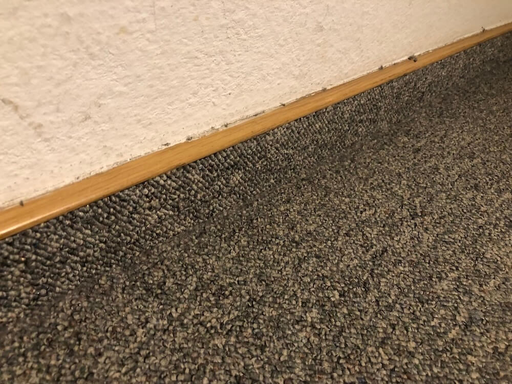 Einklebesockelleiste für Teppich